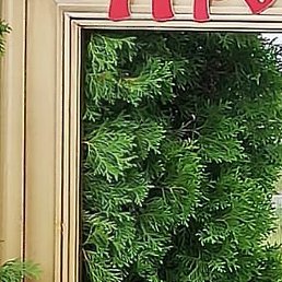 ���������, ������, 53 ����