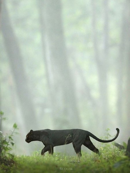 � �������� ������ �������� ���� ����� �������� ��, ���� ������ ������� ���� �������� � ������ ... - 5