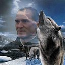 ���� ���������, ������, 57 ��� - ��������� 29 ������ 2024 � ������ ���� ����������