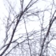 ������, 40 ���, �������