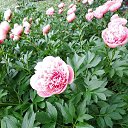 ���� S, ����� - ��������� 16 ���� 2026 � ������ ���� ����������