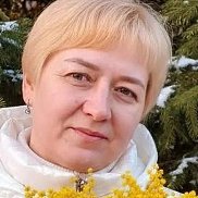 �����, 41 ���, �����������