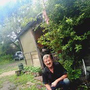 , 66 , 