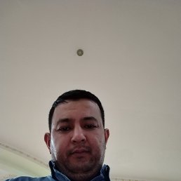 , 37, 