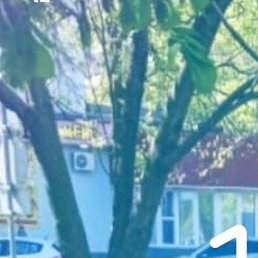 Maks, ������, 35 ���