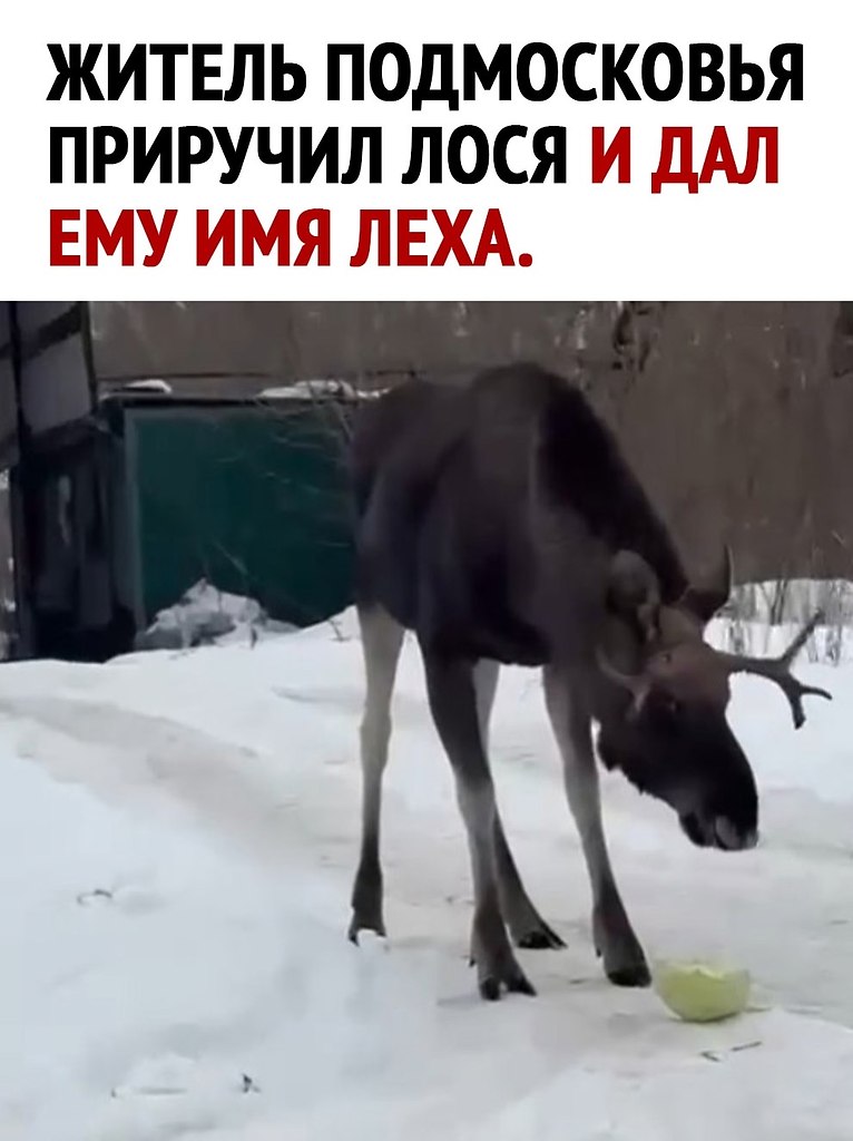  - 31  2025  18:37