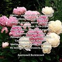 ���� �������, ���������������� - ��������� 30 ���� 2026 � ������ ������ ��������