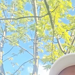 ������, ������, 41 ���