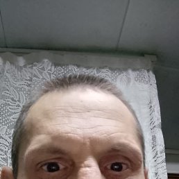 , 39, 