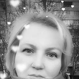 ����, 41 ���, ������