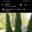 ���� ����, ��������, 54 ���� - ��������� 8 ������ 2024