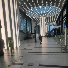 ���� �����, �����������, 37 ��� - ��������� 23 ����� 2025