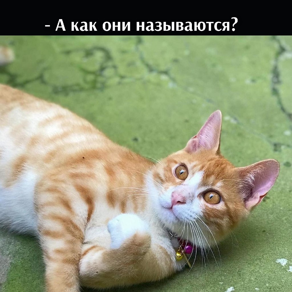 ��� ���� � ����� �� �� - 3 ���� 2026 � 17:02 - 3