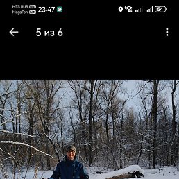 �������, �����������, 40 ���