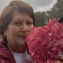 , 64, 
