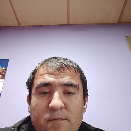 , 37, 