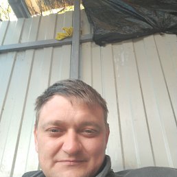 , 37, 