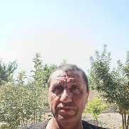  , 51 , 