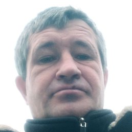 ������, ������, 46 ���