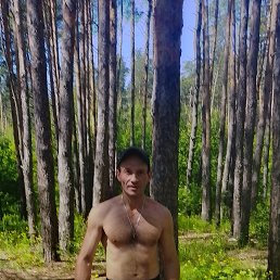 , 46, 