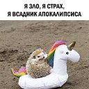 ���� �������, ������, 51 ��� - ��������� 2 ������� 2024 � ������ ���� ����������