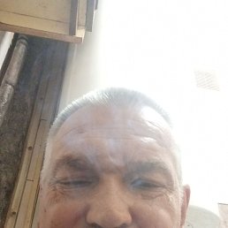 , 52 , 