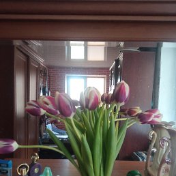 ������� ��������, ������, 52 ����