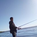  , , 33  -  15  2024    
