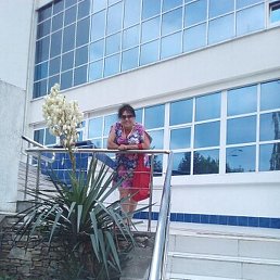 ���������, ������������, 66 ���