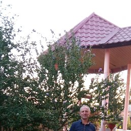 , 61, 