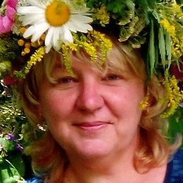 �����, ������, 55 ���