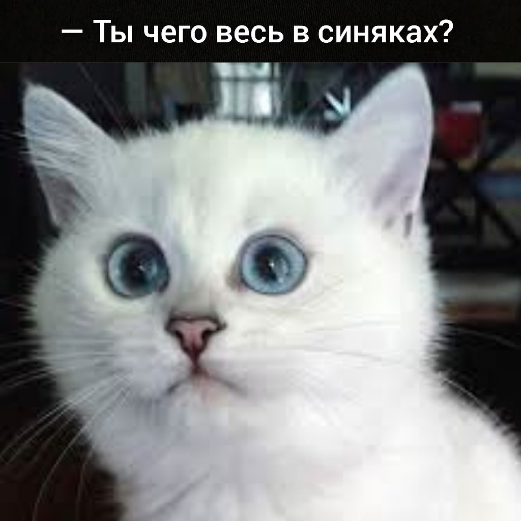 ��� ���� � ����� �� �� - 18 ��� 2026 � 16:55