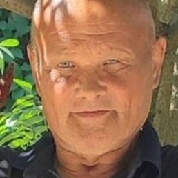 ��������, ������, 65 ���