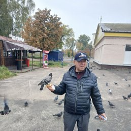 , 49, 