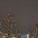 ���� �������, ������ - ��������� 22 ������� 2026 � ������ �2026�