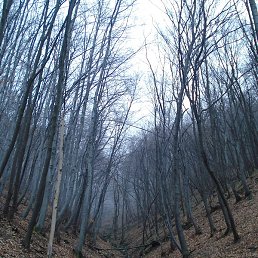 ������, �����, 42 ����