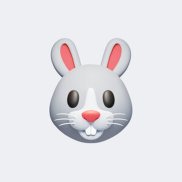 �����, 41 ���, ������