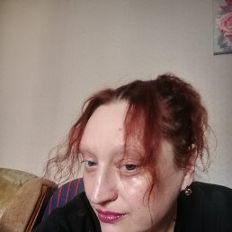 ���� ������, ���������, 50 ��� - ��������� 25 ������ 2026