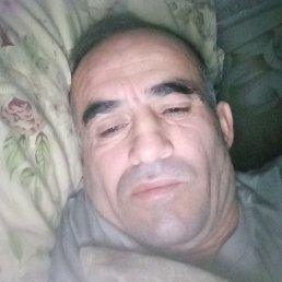 ����, ����, 41 ���