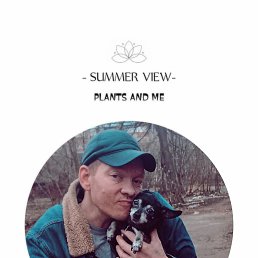 �������, ������, 41 ���