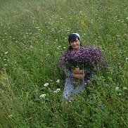 ������, 63 ����, ���������