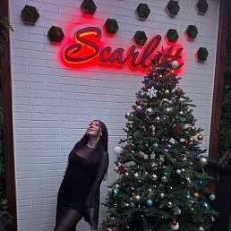 ����, �������, 23 ����