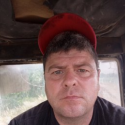  , 46, 