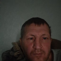 , 43, 