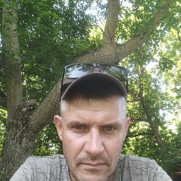 , 35, 