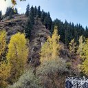 ���� �����, ������, 62 ���� - ��������� 5 ������� 2025 � ������ ���� ����������