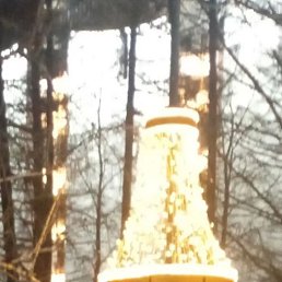 ���� ���, ������������, 66 ��� - ��������� 14 ������ 2026