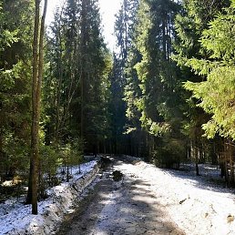 �����, ������������, 57 ���