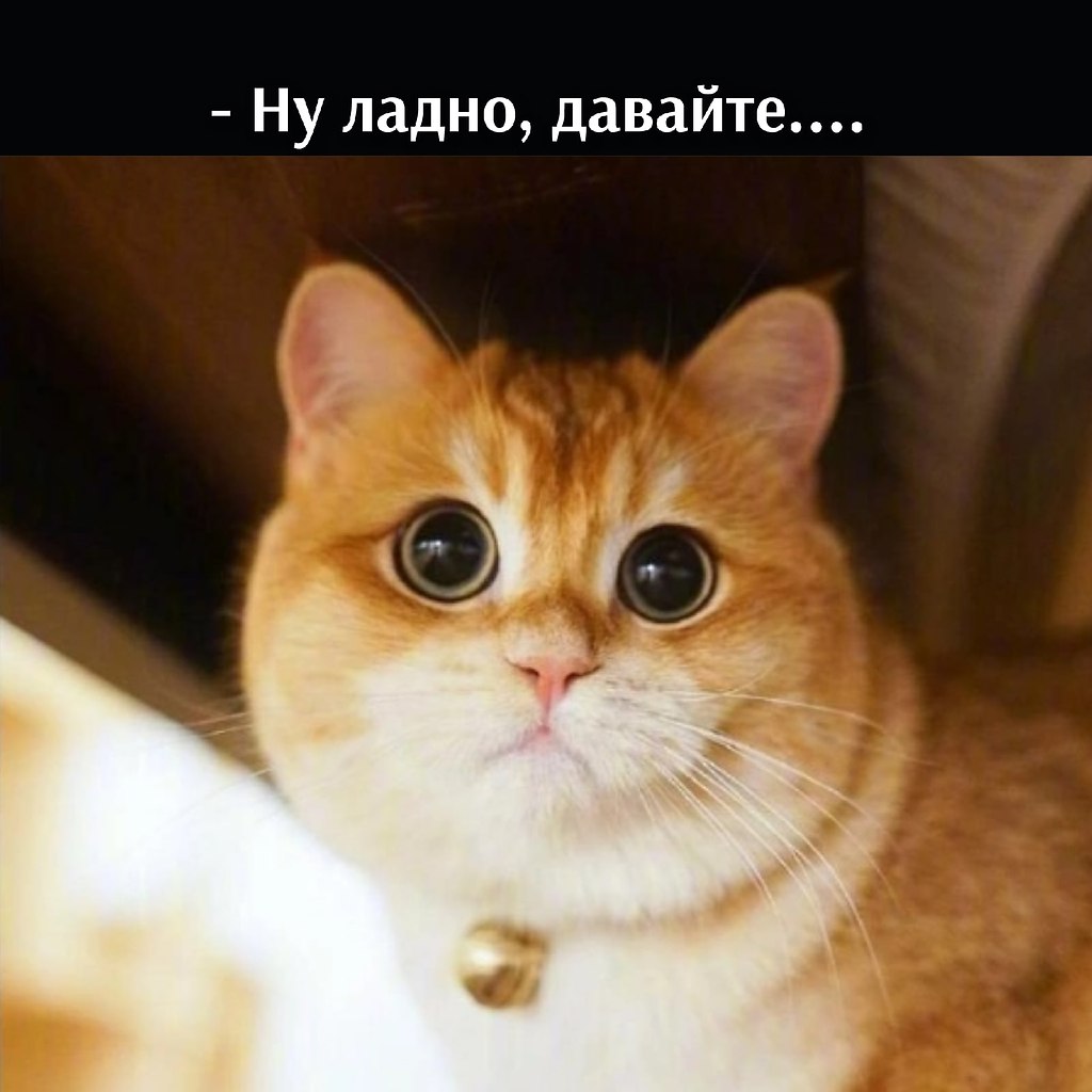 ��� ���� � ����� �� �� - 2 ������ 2026 � 16:33 - 5