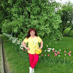 �������, ����, 64 ����